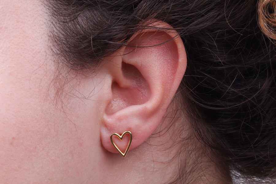 Image Description
